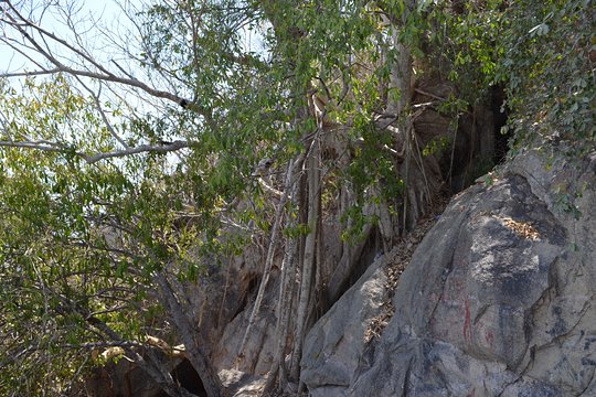 Tour image 7