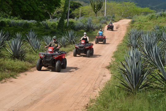 Tour image 4