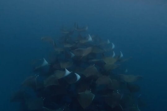 Tour image 4