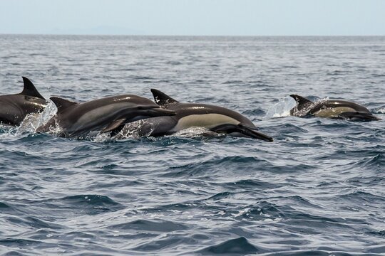 Tour image 6